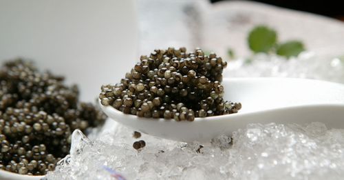 CAVIAR