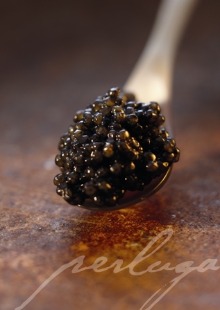 MAISON DE CAVIAR PERLUGA PARIS