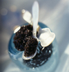 Caviar_v
